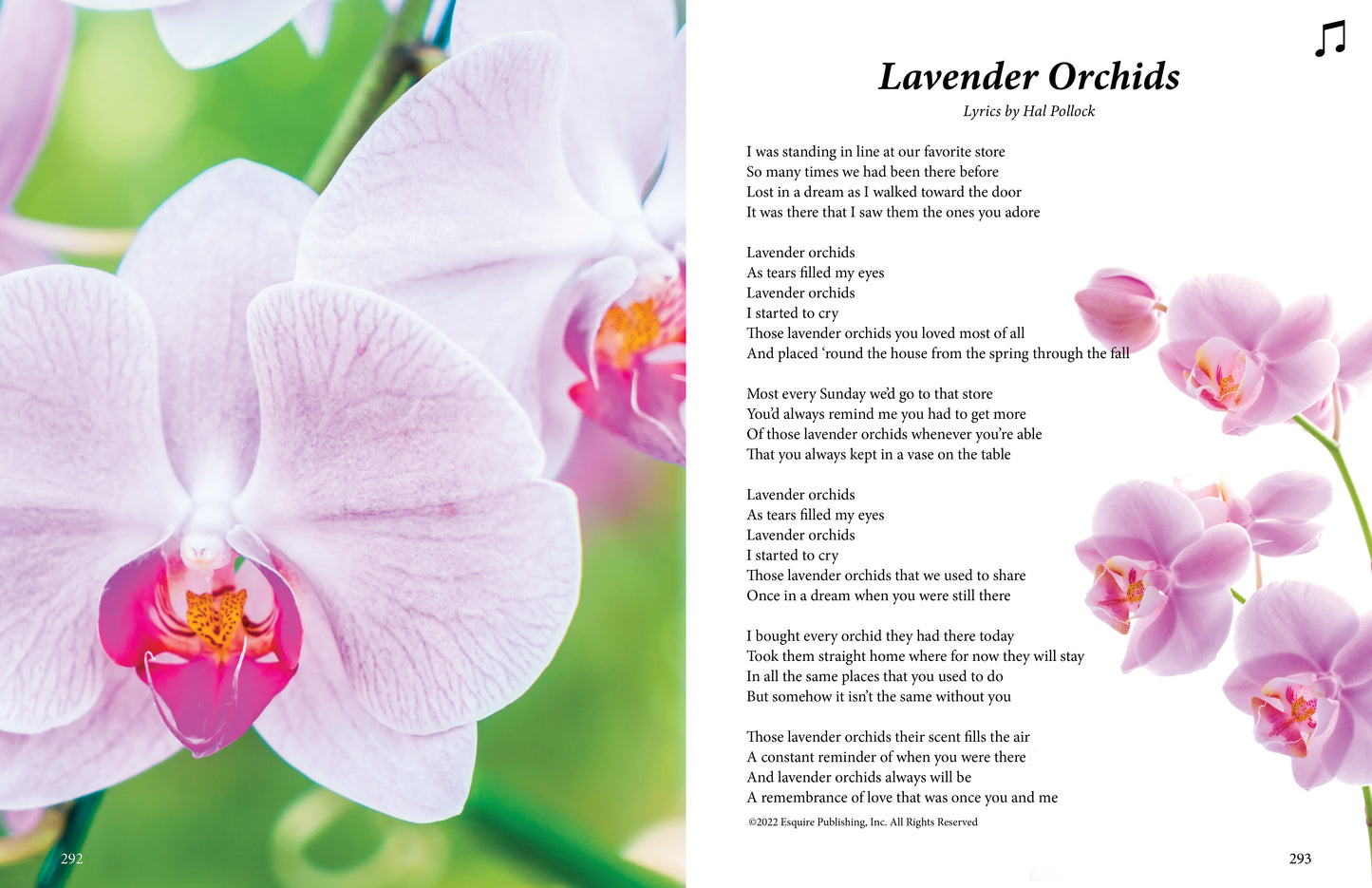 Lavender Orchids