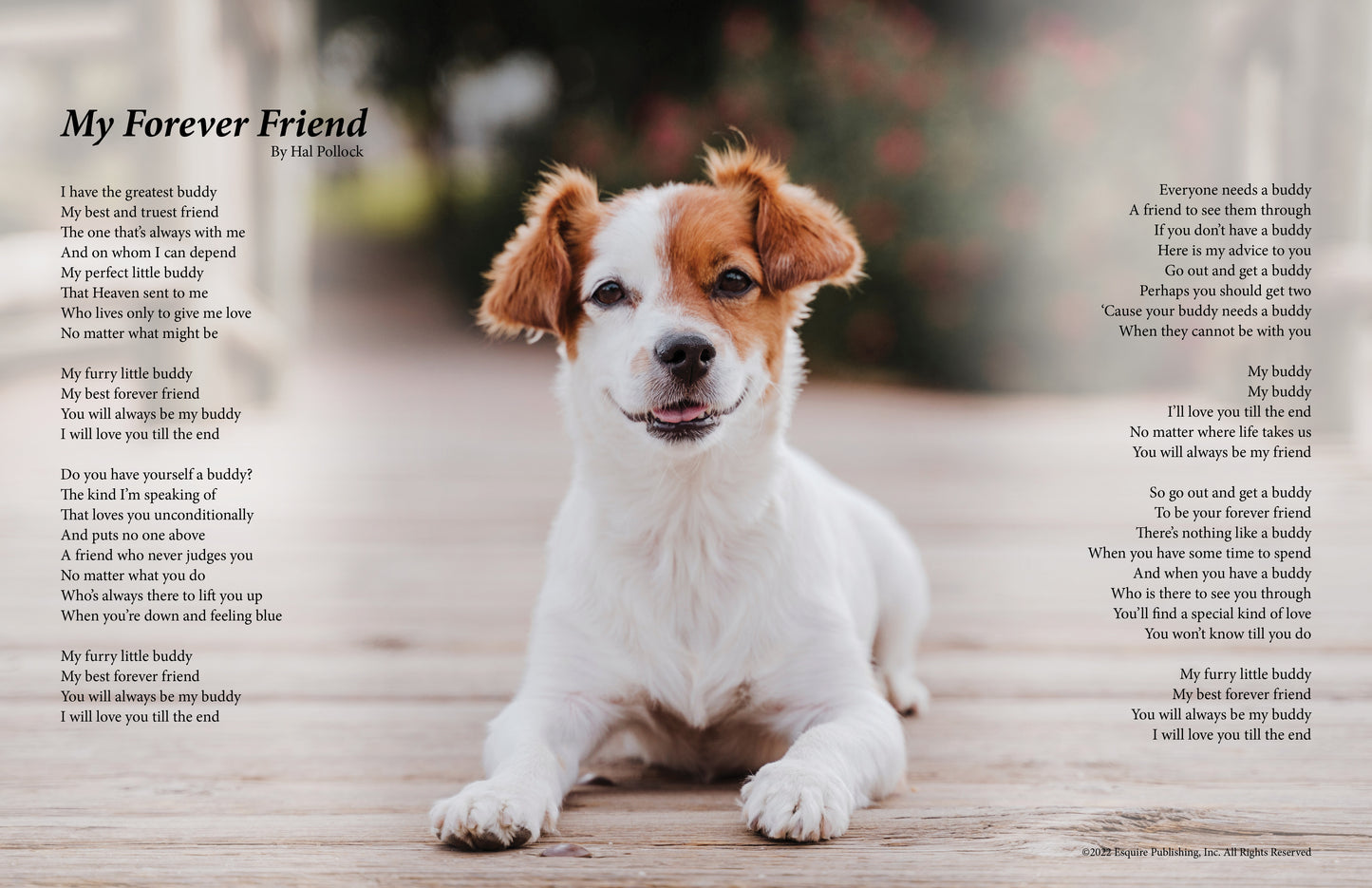 My Forever Friend - Dog 2