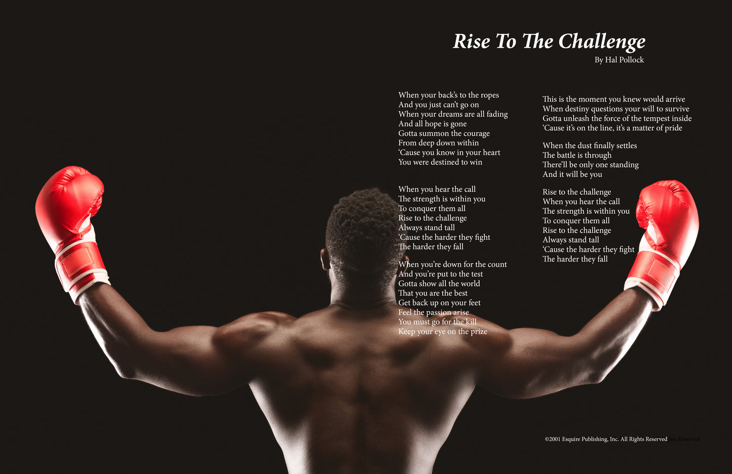 Rise To The Challenge