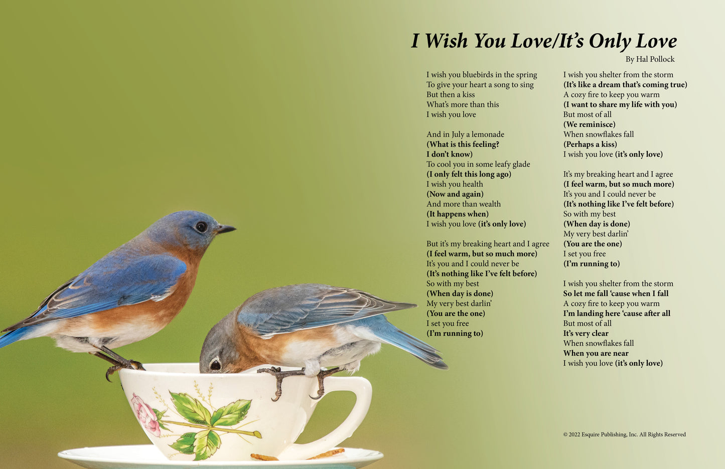 I Wish You Love/It's Only Love