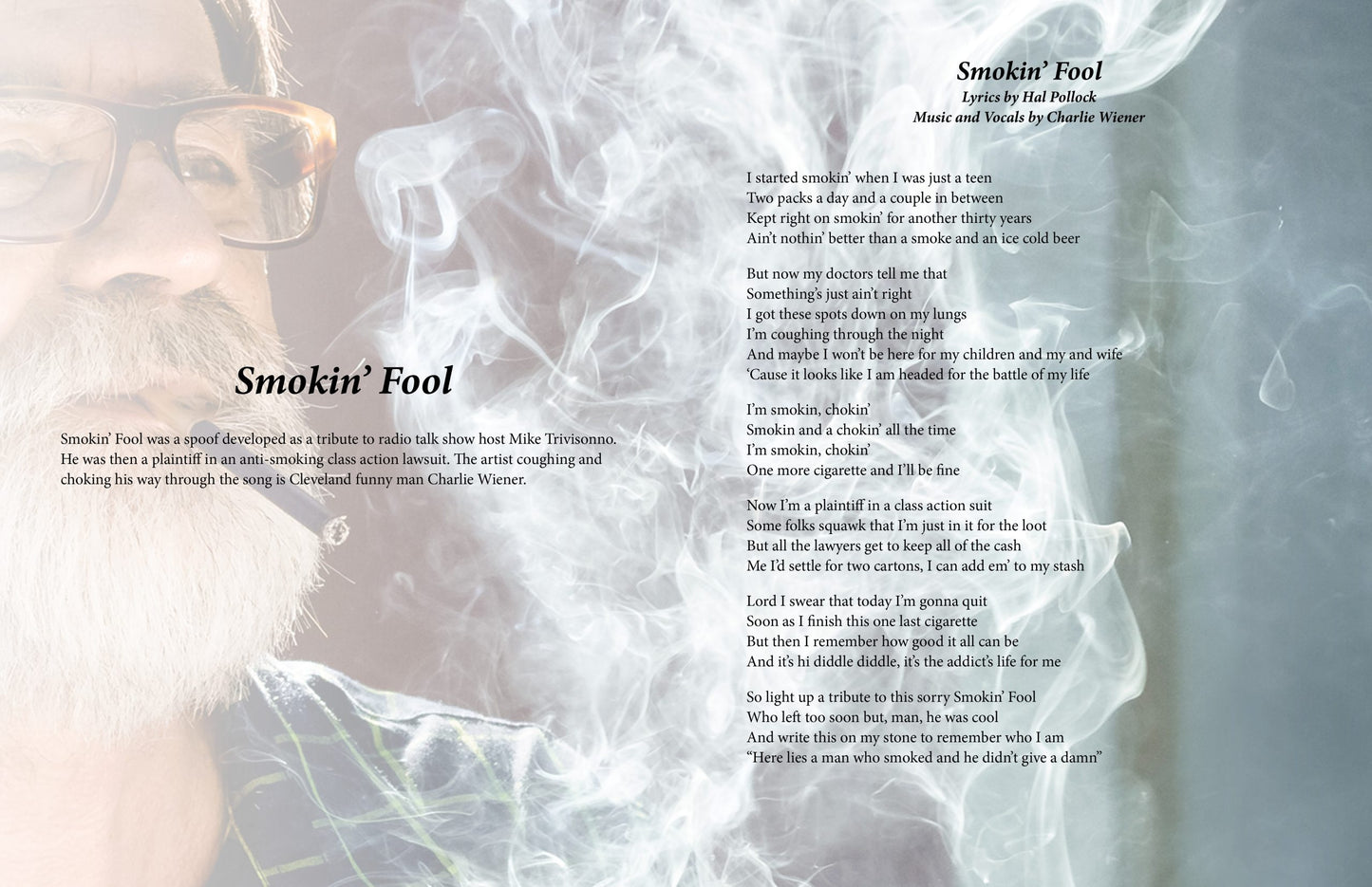 Smokin' Fool - Lyric Art Print