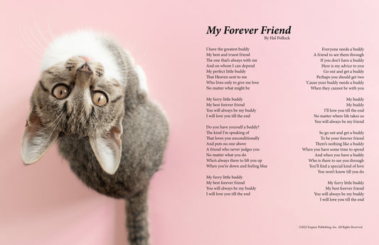 My Forever Friend - Cat 2