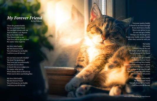 My Forever Friend - Cat 3