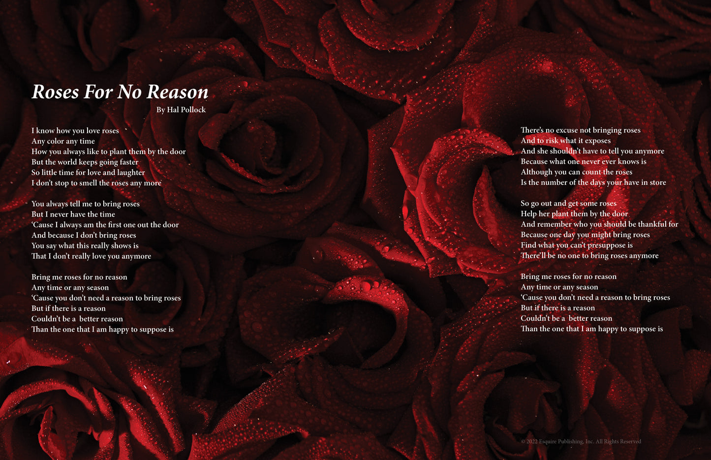 Roses For No Reason