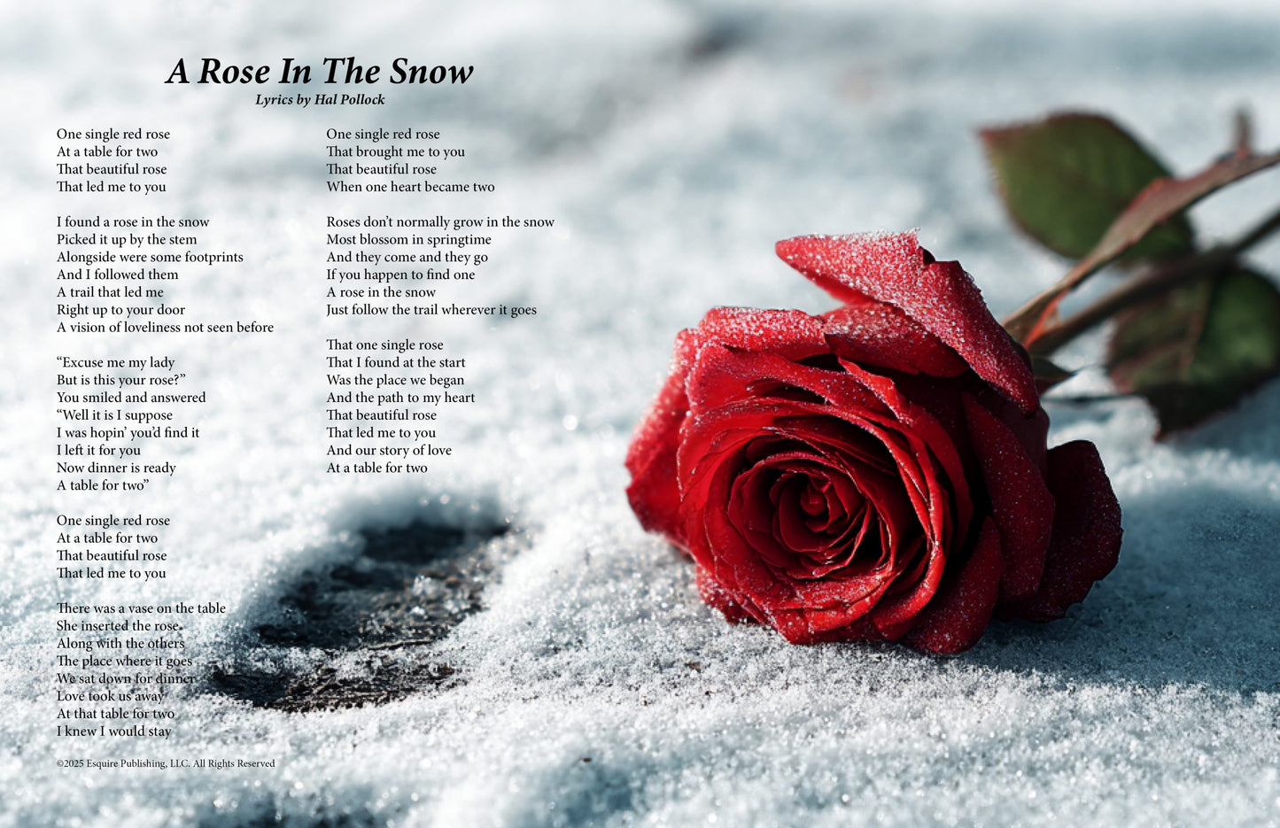 A Rose In The Snow - E-Card